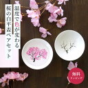 冷感桜 白平盃ペアセット 丸モ高木陶器 酒器 グラス 盃 おちょこ 冷酒グラス 冷酒 日本酒 ラッピング ギフト ペアギフト プレゼント