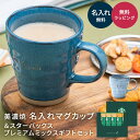 美濃焼 名入れ マグカップ 330ml &スターバックスプレミアムミックスギフトセット 名前入り マグカップ スタバ カフェラテ キャラメルラテ プレゼント ギ...