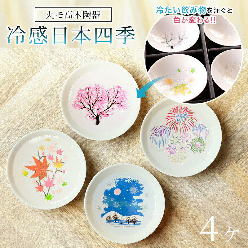 平盃セット 丸モ高木陶器 冷感 日本