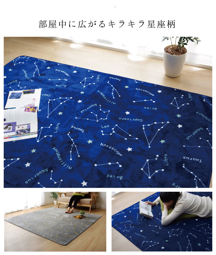 抗菌・防臭 ウォッシャブル フランネル ホットカーペットカバー 『WSミリオン RUG」約200×250cm [2]