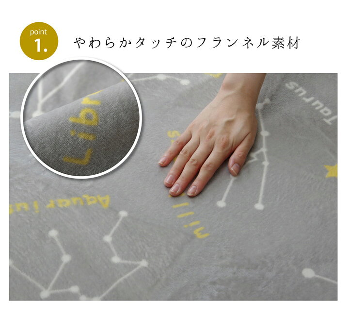 抗菌・防臭 ウォッシャブル フランネル ホットカーペットカバー 『WSミリオン RUG」約200×250cm [3]
