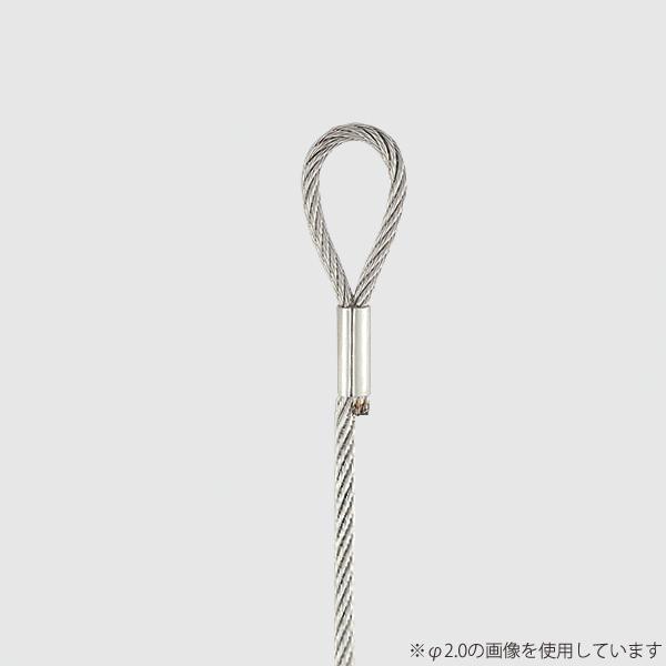 Rakuten - リングワイヤー φ2.5 3.0M B-W