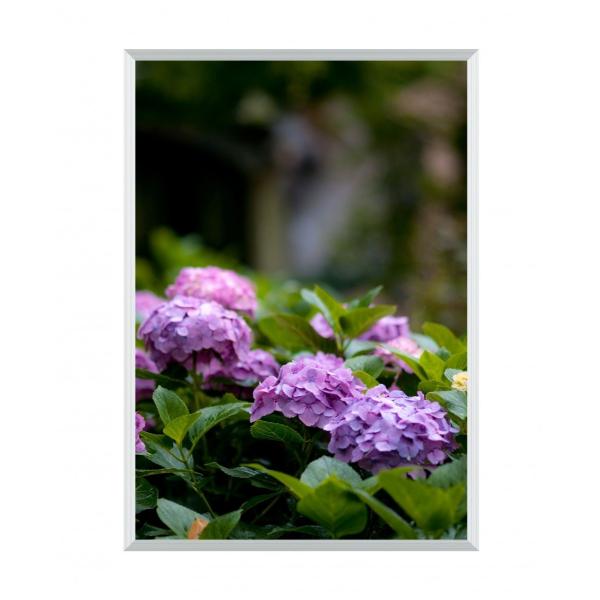 カルビアン B4 シルバー VQ-B4-SV　アルテ ポスターフレーム ポスターパネル 額縁 フレーム アルミ ポスター 用紙 壁 吊り下げ トンボ留め