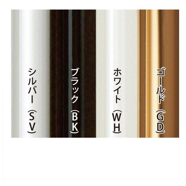 イレパネ シェイプ A0 ブラック SH-A0-BK 受注生産 アルテ ポスターフレーム ポスターパネル 額縁 アルミ パネル フレーム 壁 吊り下げ 屋内 1枚