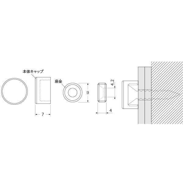 ショップスアシスト 楽天市場店のパネルフィクス平丸 φ20mm×D7mm クローム 取付物下穴φ6mm ビス太さ4mm ステンレス SUS303 バフ仕上 鏡面研磨仕上 座金 店舗用品 飾りナット スカルプス スタイリッシュ 店舗サイン 案内板 壁付 ディスプレイ 店舗用品 業務用｜アングル3