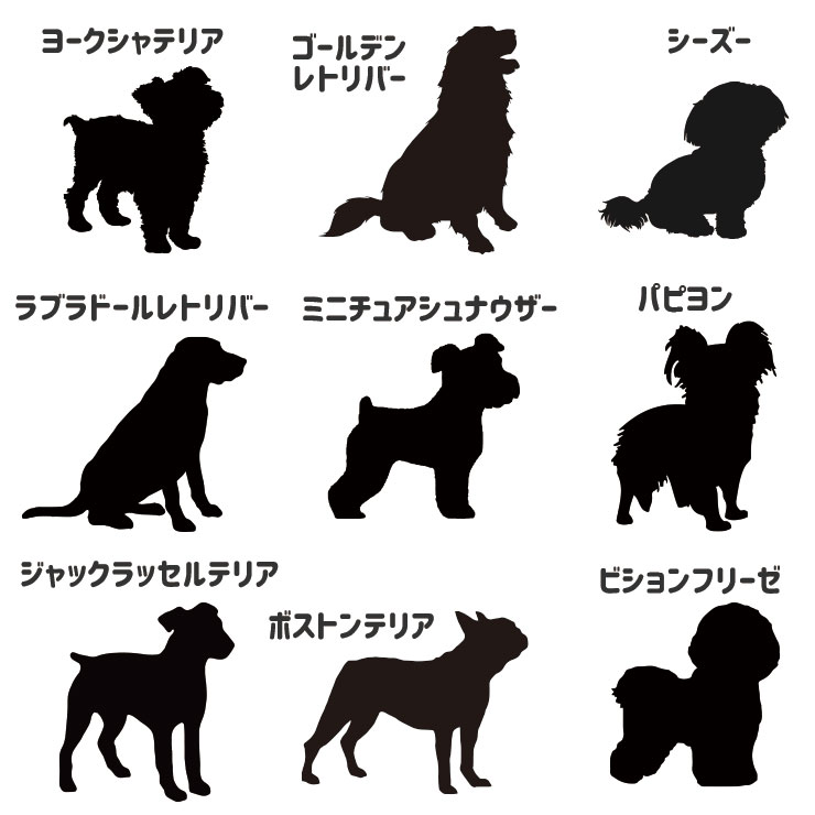 ��̾����ΤǤ���ۤ�����Хå� ������� �ߥ˥ȡ��� �ȡ��ȥХå� ���� ������ �����å� �ڥå� �ȡ��� �����Х� �����Хå� ����ӥ� �����Хå� ���㤤ʪ�Хå� �ץ쥼��� ������� ���륨�å� ���� ̾�� ���륨�åȤ����٤� �Ҥ餬�� �������� �������б�