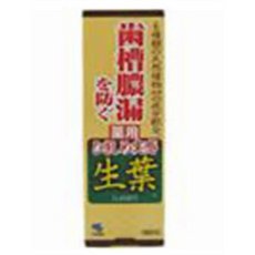 【3個セット】 小林製薬 ひきしめ生葉(100g)×3個セット 【正規品】【t-5】