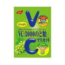 ノーベル VC-3000のど飴 マスカット 90g 【正規品】 ※軽減税率対象品