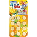 【5個セット】 小林製薬 香るかんたん洗浄丸 シトラスの香り 12錠入×5個セット 【正規品】【t-6】(3)