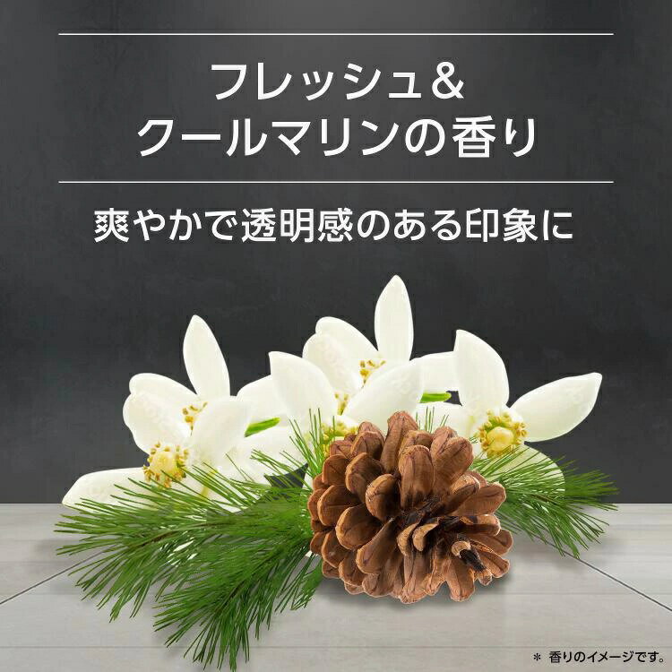 ��3�ĥ��åȡ� ��˥꡼�� ���å��� �ե쥰��󥹥ܥǥ����ץ졼(60g)��3�ĥ��åȡ������ʡ�