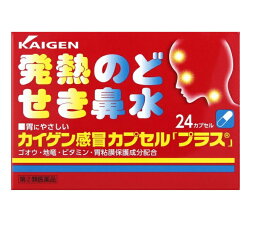 【第(2)類医薬品】カイゲンファーマ カイゲン感冒カプセルプラス 24カプセル【正規品】【t-10】