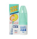 【第2類医薬品】【20個セット】 カイゲンファーマ カイゲン点鼻薬 30ml×20個セット 【正規品】【t-10】