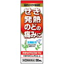 【第(2)類医薬品】カゼックスDXシロ