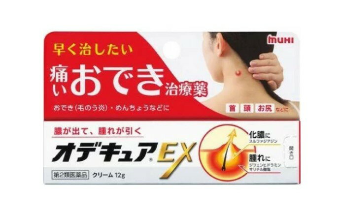 2ʡۡ10ĥåȡ ǥ奢EX(12g)10ĥåȡʡۡt-9