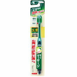 【72個セット】 生葉極幅ブラシ ふつう 1本入り×72個セット 1ケース分 【正規品】【dcs】 【72個セット】 生葉極幅ブラシ ふつう 1本入り×72個セット 1ケース分 【正規品】【dcs】