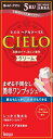 【27個セット】【1ケース分】 ホーユー シエロヘアカラーEXクリーム 5RU 深いルビーブラウン 40g+40g×27個セット 1ケース分【正規品】