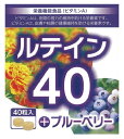 【5個セット】日本ケミスト ルテイン40+ブルーベリー 40
