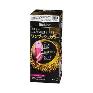 ブローネ ワンプッシュカラー 4N ナチュラリーブラウン 80g 【正規品】