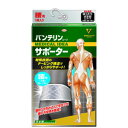 【20個セット】【1ケース分】 バンテリンサポーター 腰用 ゆったり大きめ LLサイズ シャイニンググレー 1枚入×20個セット 【正規品】
