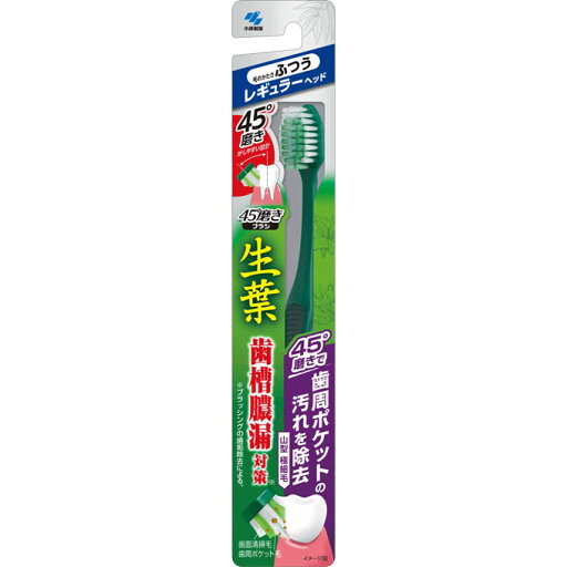 【3個セット】 生葉 45度磨きブラシ レギュラー ふつう(1本)×3個セット 【正規品】 歯ブラシ 【3個セット】 生葉 45度磨きブラシ レギュラー ふつう(1本)×3個セット 【正規品】 歯ブラシ