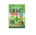 中部薬品工業 乳酸菌プラス 大麦若葉のど飴 商品説明 『中部薬品工業 乳酸菌プラス 大麦若葉のど飴』 大麦若葉と乳酸菌を配合したのどにもおなかにやさしいのどあめ。 抹茶のような風味です。 山本漢方の大麦若葉使用。 【中部薬品工業 乳酸菌プラス 大麦若葉のど飴　詳細】 栄養成分表示（100g当たり） エネルギー 391kcal たんぱく質 0.4g 脂質 0.5g 炭水化物 96.2g ナトリウム 0.01g 原材料など 商品名 中部薬品工業 乳酸菌プラス 大麦若葉のど飴 原材料もしくは全成分 水飴（国内製造）、砂糖（国内製造）、大麦若葉粉末、イソマルトオリゴ糖、デキストリン、乳酸菌（殺菌） 内容量 120g 製造国 日本 販売者 中部薬品工業 広告文責 株式会社プログレシブクルー072-265-0007 区分 食品中部薬品工業 乳酸菌プラス 大麦若葉のど飴　120g×3個セット