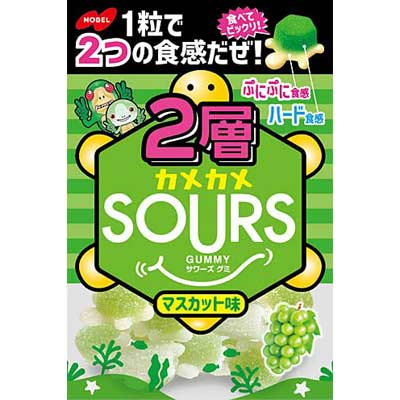 【3個セット】ノーベル製菓 2層カメカメサワーズ マスカット 45g×3個セット 【正規品】 ※軽減税率対象品【t-10】