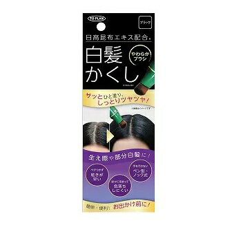 日高昆布エキス配合 白髪かくしN ブラック 20g×96個セット 1ケース分