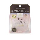 【10個セット】 常盤薬品 サナ 毛穴パテ職人 毛穴崩れブロックパウダー(13g)×10個セット【正規品】