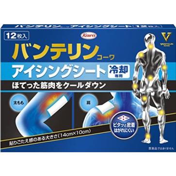 バンテリンコーワ アイシングシート 冷却専用 12枚入【正規品】【k】【ご注文後発送までに1週間前後頂戴する場合がございます】