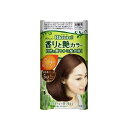 花王 ブローネ 香りと艶カラー クリーム 5NA 深いナチュラルブラウン(1セット)【正規品】