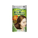 花王 ブローネ 香りと艶カラー クリーム 2 より明るいライトブラウン(1セット)【正規品】