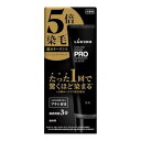 【10個セット】 ルシードカラーリンスPRO パーフェクトブラック120g×10個セット【正規品】