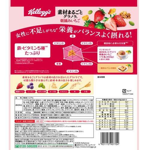 【10個セット】 素材まるごとグラノラ 朝摘みいちご(400g)×10個セット【正規品】 ※...
