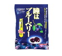 【3個セット】川口製菓 瞳はブルーベリー 83g×3個セット 【正規品】【ori】※軽減税率対象品
