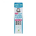 シャボン玉 薬用せっけんハミガキ(80g)【正規品】