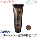 リスブラン つやいろ (釉彩) ヘアカラートリートメント ダークブラウン 200g 白髪ケア ノンシリコン リスブラン化粧品 その1