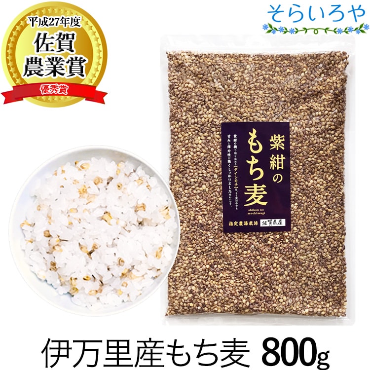 もち麦 国産 (佐賀県産) 「紫紺のもち麦」800g 送料無料 令和5年産 紫もち麦 無添加 希少な国産ダイシモチ100% 食物繊維たっぷり 腹持ちよくダイエットにも もち麦ごはん 麦飯 大麦