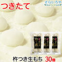 餅 杵つき餅 30個 約1.2kg 福岡県築上町産  無添加 丸餅 おもち 正月 お歳暮 ギフト お雑煮 鍋に 本庄の大楠 生もち 小餅 ヒヨクモチ つきたて ふるさと納税で人気