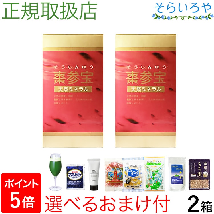 棗参宝 そうじんほう 100粒×2箱 棗（