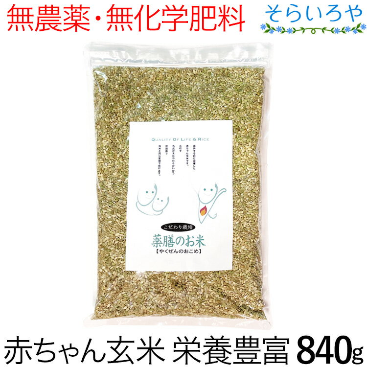 薬膳のお米 1kg 栄養価の高い赤ちゃん玄米 無農薬 無化学肥料 西日本産 ※パッケージ変更がある場合がございます。中身は一緒です。