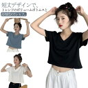 tシャツ 半袖 レディース カットソー ショート丈 送料無料 無地 インナー Vネックtシャツ シンプル Vネック 半袖tシャツ カットソー 半袖 カットソー トップス ショート トップス(4)