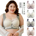 バストアップ ブラジャー ナイトブラ ノンワイヤーブラ 育乳ブラ ブラジャー レース シームレスブラ 美乳ケア 補正下着 女性 夜用 育乳 送料無料 ノンワイヤー おやすみブラ ワイヤレス 女性 大きいサイズ