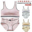 上下セット ジュニアブラ 2点セット ショーツ ブラ キッズ 下着セット ブラジャー キッズブラ スタンダードショーツ ノンワイヤー ファーストブラ インナー ...