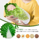 ベビー おくるみ 赤ちゃん 野菜 おくるみ ベビー ブランケット コスチューム ベビーブランケット 新生児 白菜 毛布 帽子付き おもしろ 秋冬 授乳ケープ 出産祝い 退院 ギフト 赤ちゃん ベビー寝袋 タオルケット おしゃれ インスタ映え 記念撮影