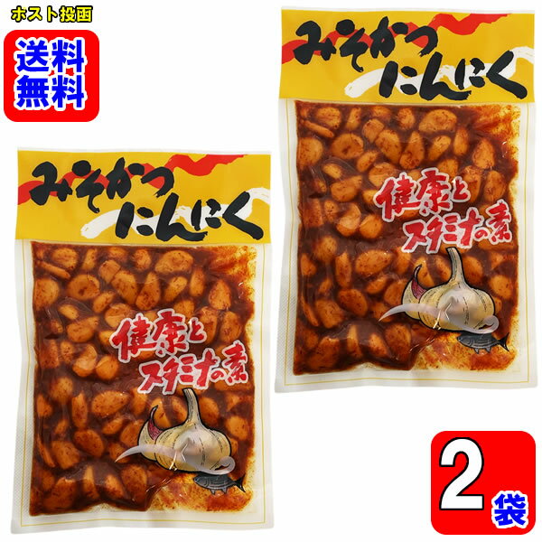 みそかつにんにく 210g×2袋お試しセット【メール便送料無料】