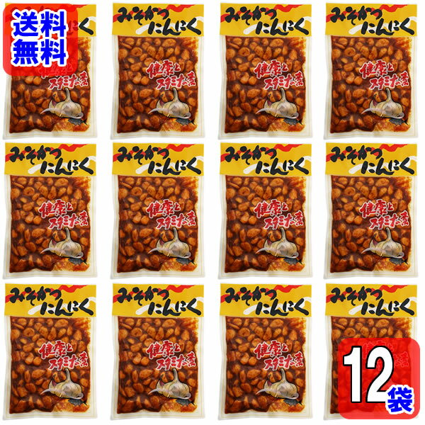 みそかつにんにく 210g×12袋お試しセット【メール便送料無料】