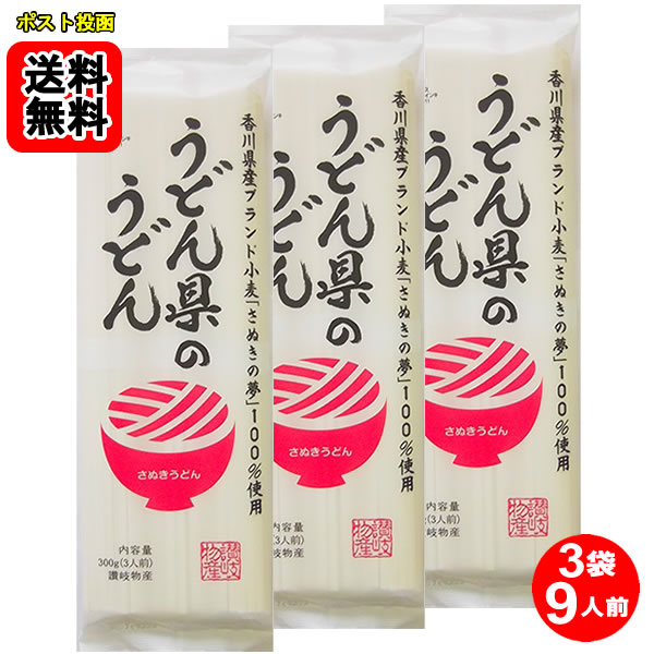 うどん県のうどん 300g×3袋（計9人前）お試しセット 讃岐物産【メール便送料無料】