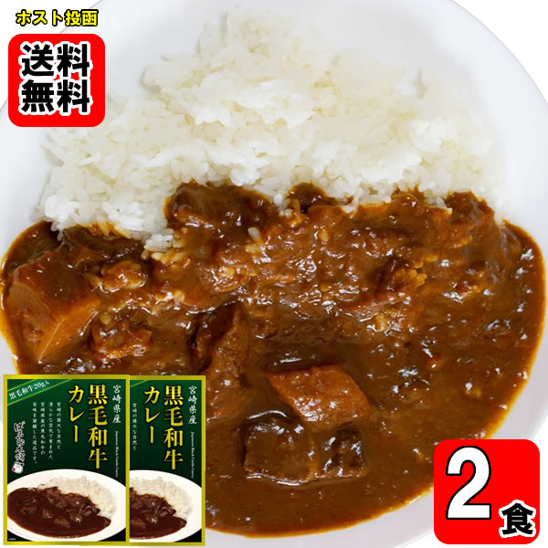 乐天商城 - 宮崎県産黒毛和牛カレー 160g×2食お試しセット【メール便送料無料】