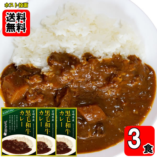 宮崎県産黒毛和牛カレー 160g×3食お試しセット【メール便送料無料】
