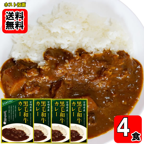 Rakuten - 宮崎県産黒毛和牛カレー 160g×4食お試しセット【メール便送料無料】